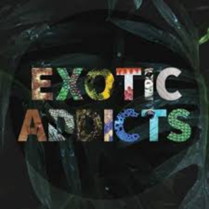 Exotic-Addicts.png