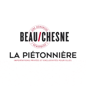 LOGO-CHAUSSURES-BEAUCHESNE.gif
