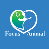LOGO_FOCUS-ANIMAL.gif