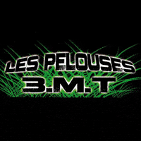 LOGO_PELOUSES-3-MT.gif