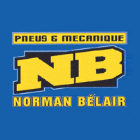 LOGO_PNEUS-MEC-NB.gif