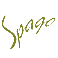 LOGO_SPAGO.gif