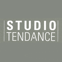 LOGO_STUDIO-TENDANCE.gif