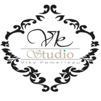 LOGO_STUDIO-VIKY.gif