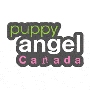 Puppy-Angel_300X300.gif