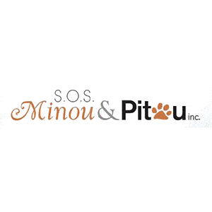 SOS-Minou-et-Pitou_300X300-2.gif