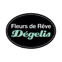 fleursderevedegelis_161108_logo.gif