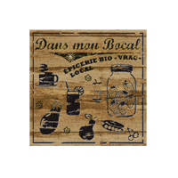 logo-dans-mon-bocal.gif