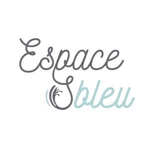 logo-espace-s-bleu.gif