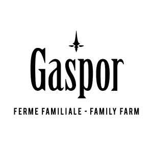 logo-gaspor.jpg