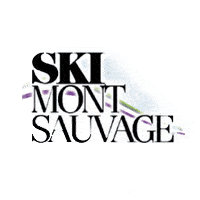 logo_ski_mont_sauvage.gif